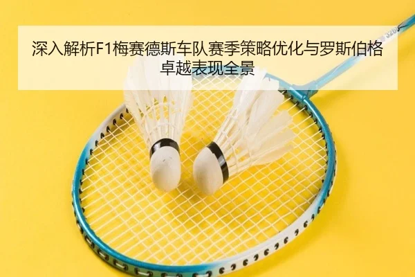 深入解析F1梅赛德斯车队赛季策略优化与罗斯伯格卓越表现全景